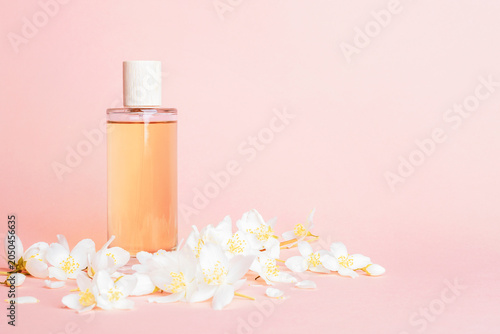 Glass perfume bottle with jasmine flowers on coral pink background. Beauty and wellness concept. Front view, copy space