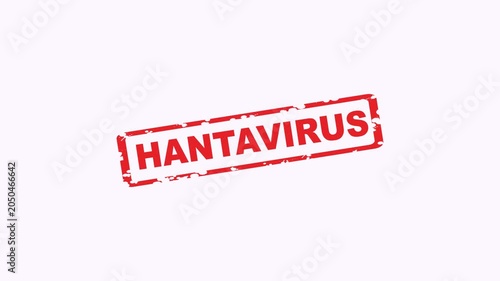 Red ink rectangle stamp with hantavirus text. Suitable for medical articles, blog posts, educational materials, and presentations.
