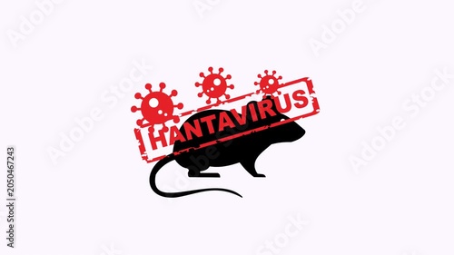 Red virus icons and black rat silhouette with hantavirus text stamp graphic. Suitable for medical articles, blog posts, educational materials, and presentations.
