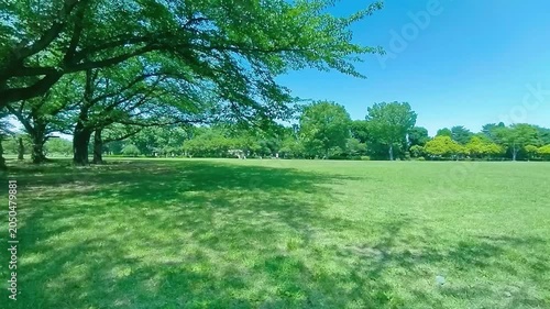 緑の公園