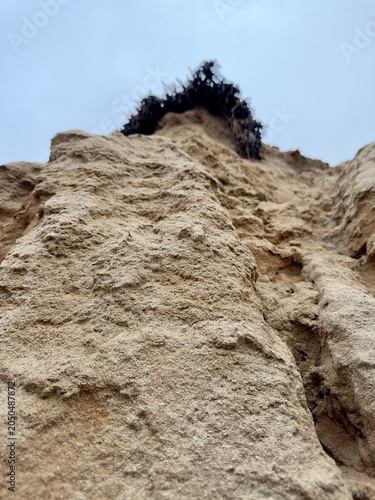 Canvastavla A vertical low angle perspective looking up an eroded channel runnel carved into a steep sandstone bluff in Carlsbad, California
