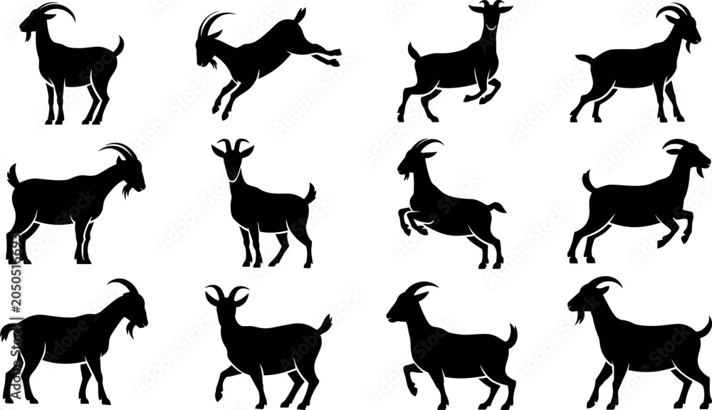 Fototapeta premium Black Goat Silhouette Collection Vector Set Featuring Various Dynamic Jumping Standing and Walking Poses on Gray Background