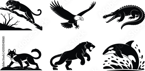 Set of black and white animal illustrations featuring various species