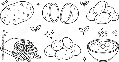 Tableau sur toile Fresh potato and delicious food vector icon set with raw cut potatoes french fri