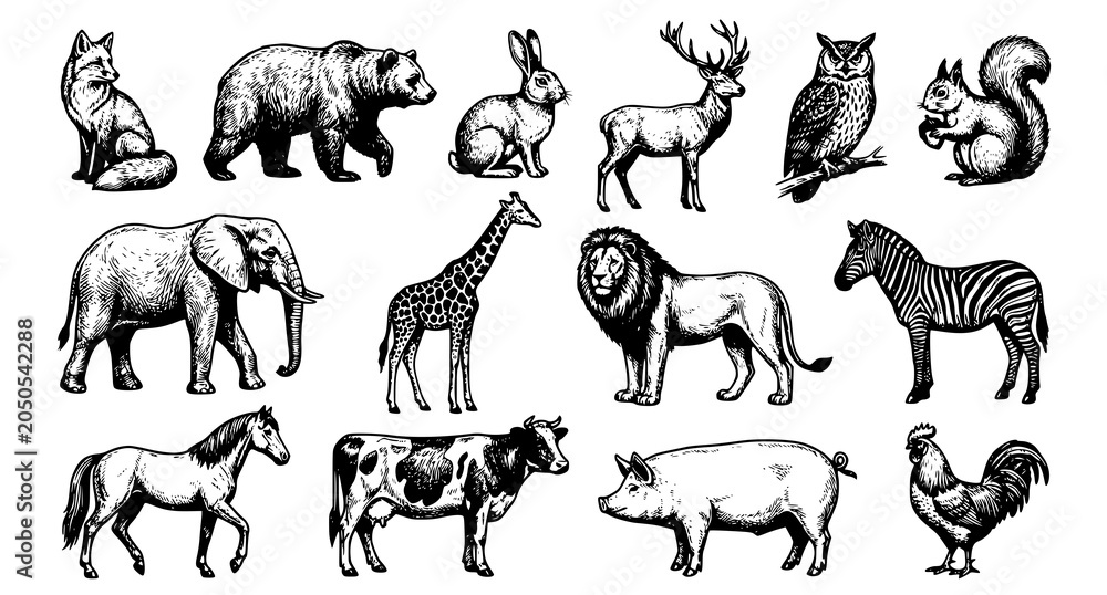 Fototapeta premium Vintage Hand Drawn Animal Clipart Set Engraved Vector Illustration