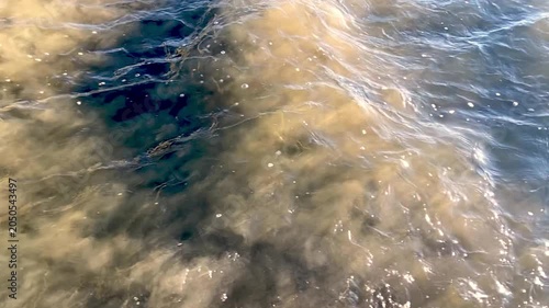 Slow motion of a large gray waves moving against the current flow