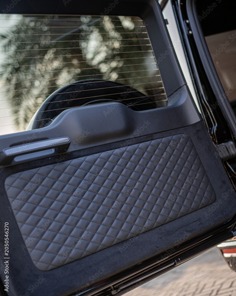Naklejka premium Quilted Car Interior Door Panel Quiet Backseat Scene.