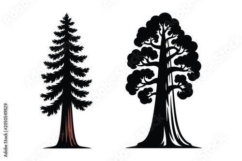 Giant sequoia and pine tree silhouette vector set with silhouette, illustration