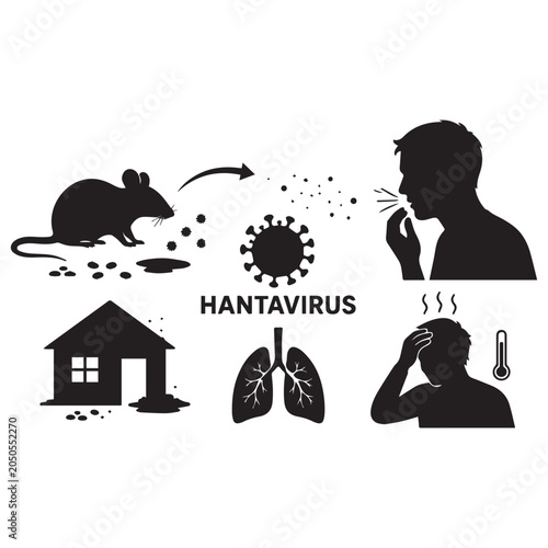 Hantavirus transmission and symptoms silhouette illustration showing rodent carrier, virus spread, respiratory infection, fever, and public health awareness concept.