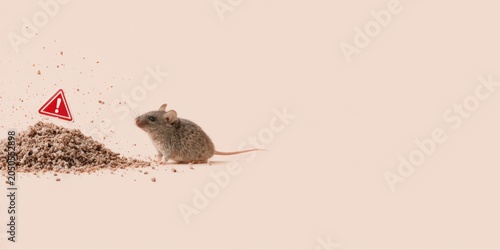 Rodent infestation health risk concept, mouse droppings contamination, airborne hantavirus exposure warning, ultra realistic public health editorial style