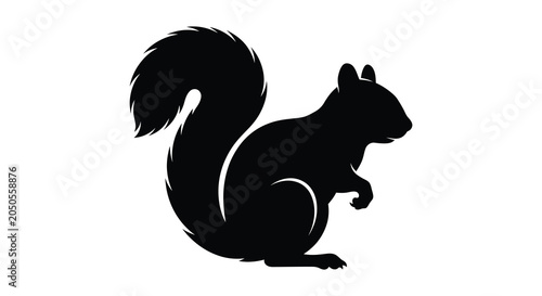 Vászonkép Squirrel Silhouette Against A White Background animal