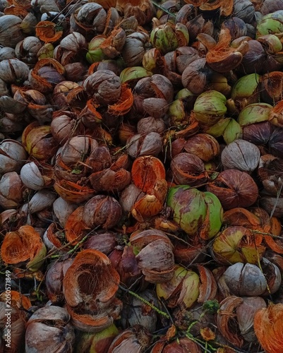 Fotografija Mountainous pile of discarded coconut husks background