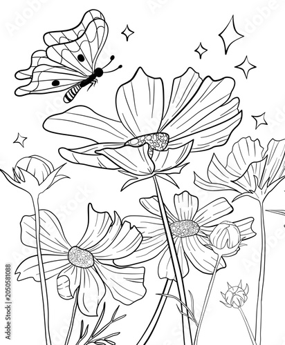 Cosmos Flowers and Butterfly Outline Illustration for coloring page