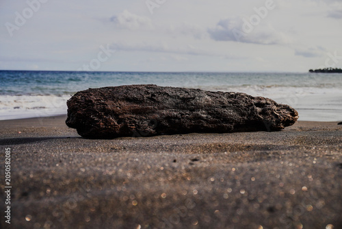Fotografia Weathered Driftwood Log on a Tropical Black Sand Beach