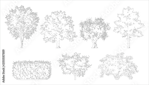 Detailed tree and bush outlines vector, line drawing style on transparent background, natural elements for architectural design.
