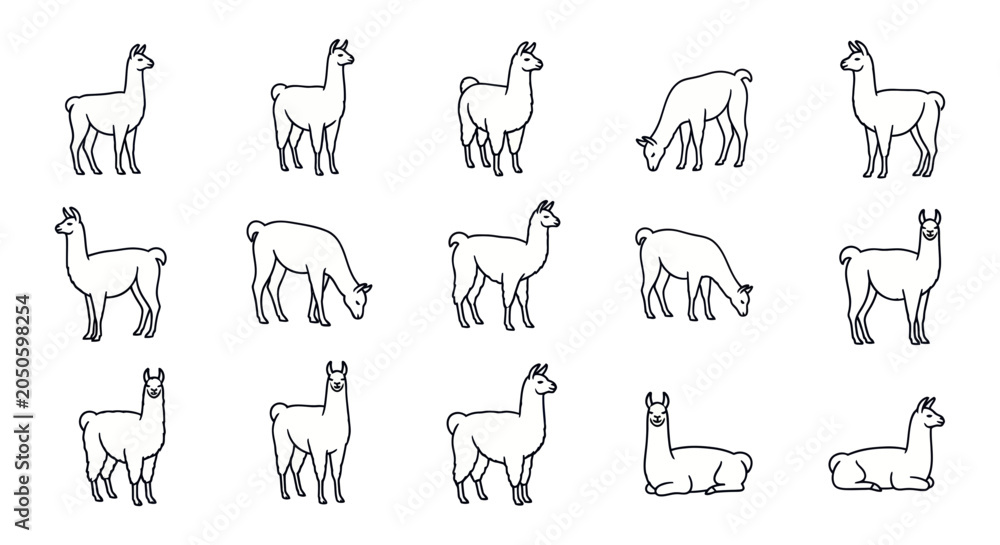 Obraz premium Cute Llama Illustrations Collection, Various Poses, Outline Style