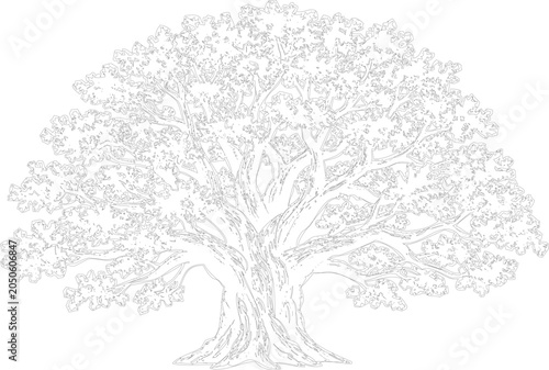 Quadro su tela Intricate line drawing of a mature tree with dense foliage and sprawling branches, suitable for nature-themed designs