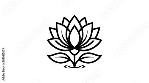 vector illustration of a lotus