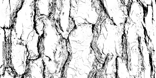 Foto Tree bark texture high contrast black and white pattern isolated on transparent