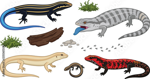 Foto Skink Species Vector Illustration Featuring Blue‑Tail, Gray, Beige, Red, Brown V