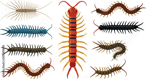 Foto Centipede and Millipede Vector Illustration Featuring Orange, Yellow, Red, Brown