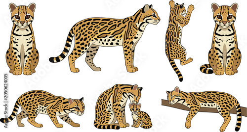 Tableau sur toile Ocelot Vector Illustration Featuring Sitting, Standing, Climbing, Crouching, Gro
