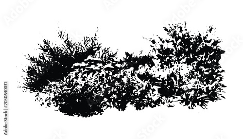 Картината върху платно Vector silhouette of sprawling bush plant on transparent background for landscape design