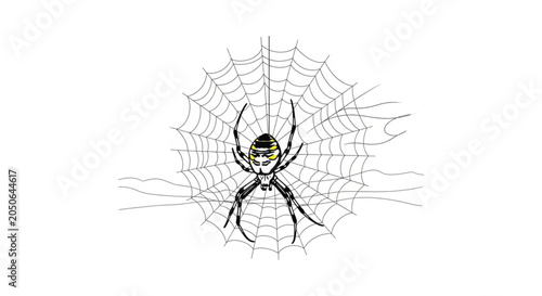 Black widow spider in web closeup.
