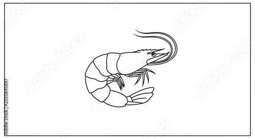 Shrimp Outline Drawing - Minimalist Seafood Illustration