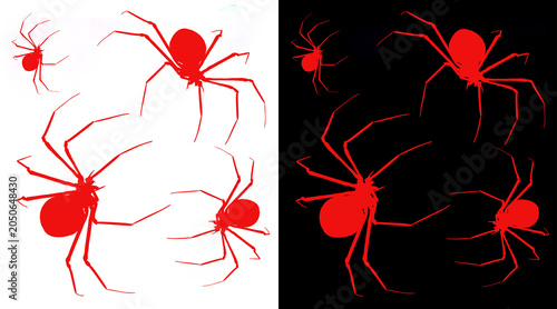 Bild auf Leinwand Red spider silhouettes on black and white backgrounds, creepy arachnid graphic s