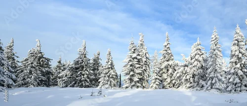 Panel kuchenny z motywem Beautiful winter landscape with frozen trees