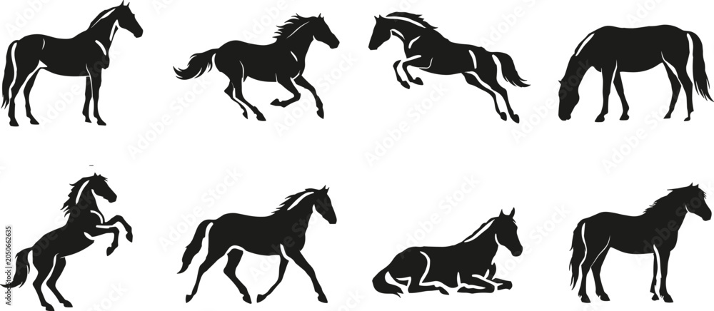 Fototapeta premium Black horse silhouettes set featuring various poses including running jumping rearing grazing trotting and standing on white background