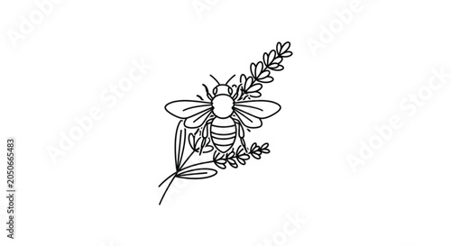 Insect on a leafy branch closeup.