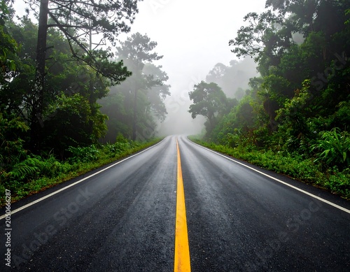 An asphalt road stretches ahead, disappearing into a misty forest. Trees line the path. Green foliage. Overcast, creating a moody, evocative scene