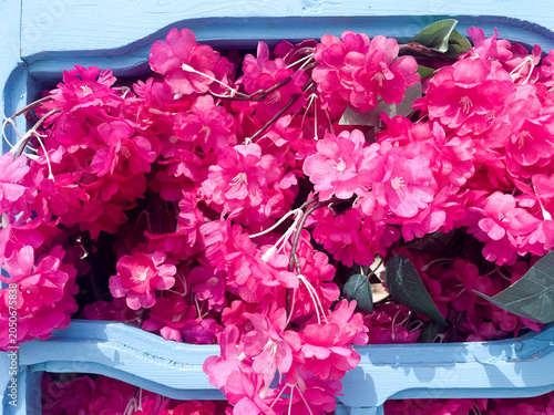 Landscape close up view of vibrant bright pink artificial flowers blooming out of a decorative light blue painted wooden window frame