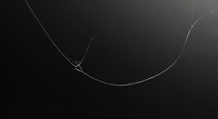 Abstract white line design on transparent background for creative projects