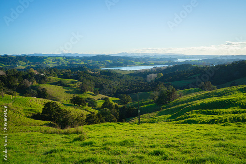 Green hillside pastures and bays, New Zealand