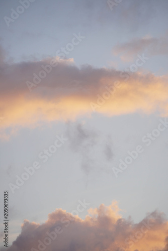 Beautiful vertical sunset sky with soft pink and golden clouds framing a clear blue space. Romantic twilight cloudscape, peaceful nature 