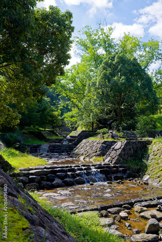 Clear mountain stream flowing through green forest in Japan
