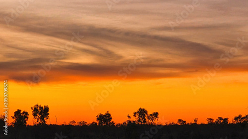 Obraz na płótnie Barkly Region,Northern Territory Australia, a sunset silhouette over landscape o