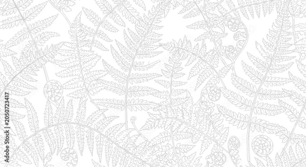 Obraz premium Delicate fern pattern elegant botanical design on white background