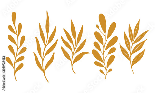 Canvas-taulu Five golden ochre leaf branches and botanical silhouettes hand drawn in bright flat lighting for minimalist art on white