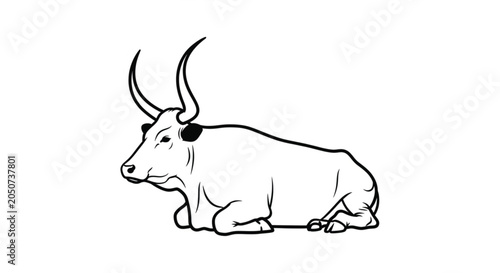 A bull lying on the ground.