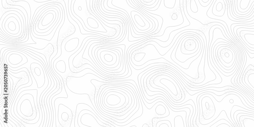 Fototapeta premium Topographic map patterns, topography line map. White topographic paper grid background .