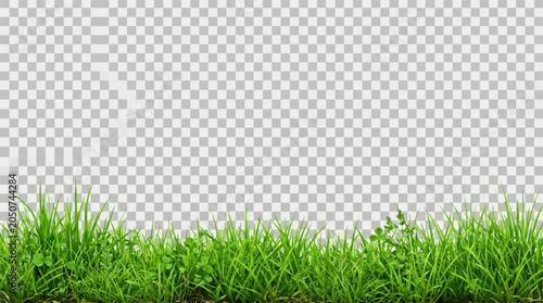 Foto Green grass and clover blades with a transparent background a natural ground lev