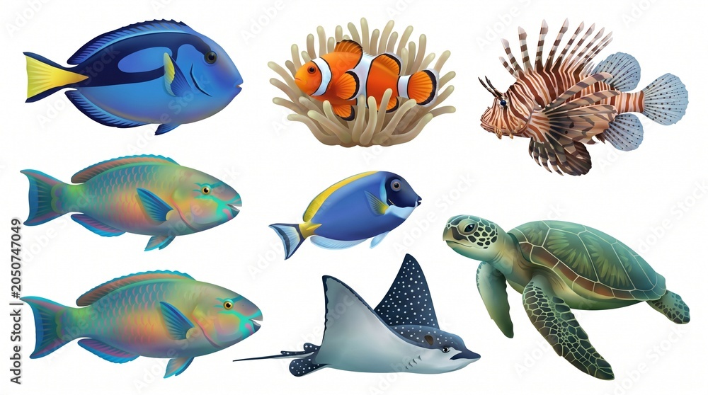 Fototapeta premium Colorful Tropical Fish Illustration Collection Isolated on White Background