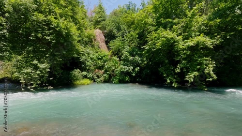Freshwater river current in summer forest nature