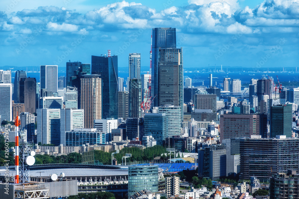 Naklejka premium The view from the observation deck of the Tokyo Government building