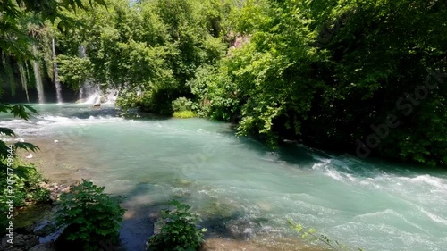 Freshwater river current in summer forest nature
