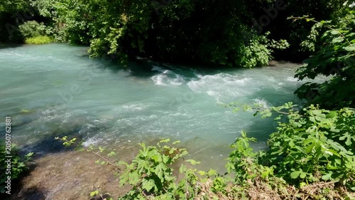 Freshwater river current in summer forest nature